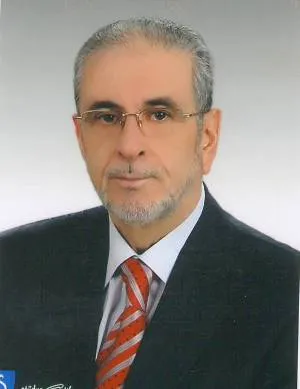 Ilhan Tok, photo 3